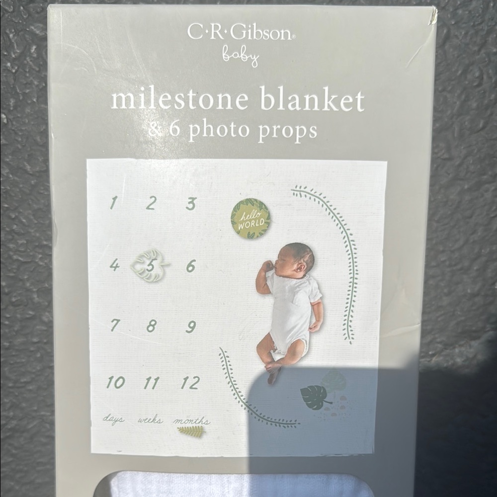 C.R. Gibson Baby Milestone Blanket with Photo Props